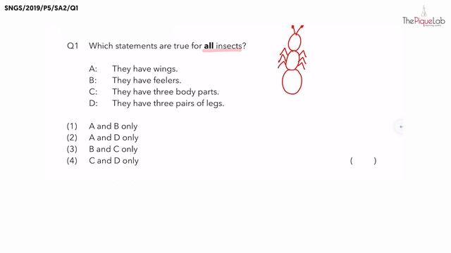 EXAMINATION PAPER SERIES | 2019 SNGS P5 SA2 | Question 1 | Animal Classification ? смотреть онлайн