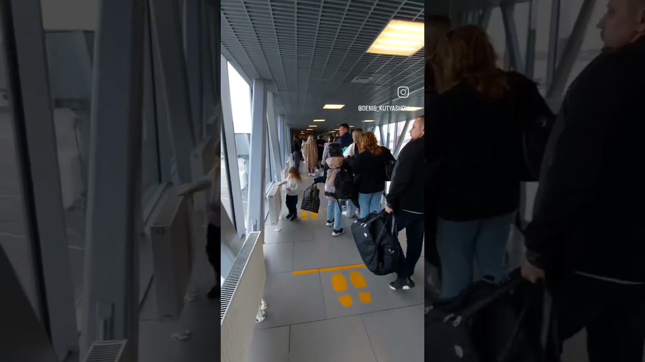 4 ноября 2023 г.