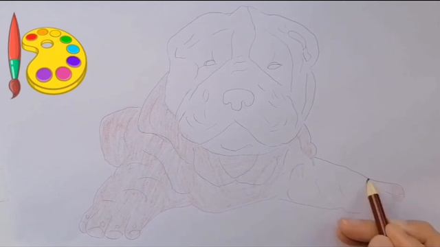 Рисуем и раскрашиваем Шарпея. Для детей. смотреть онлайн