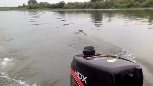 HDX - 2.6 л.с. первый выезд 30 08 2017г.р. Белая. смотреть онлайн