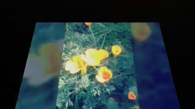 Природа она очень красивая . Как можно не любить природу смотреть онлайн