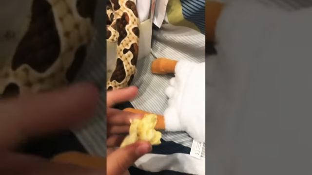 #змея #игрушки #питон #плюшевыеигрушки смотреть онлайн