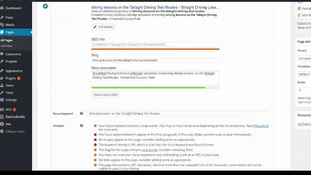 How To Use Focus KeyWords In Wordpress Using Yoast смотреть онлайн