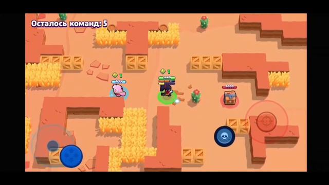 Шелли.EXE/Шелли рофл мод