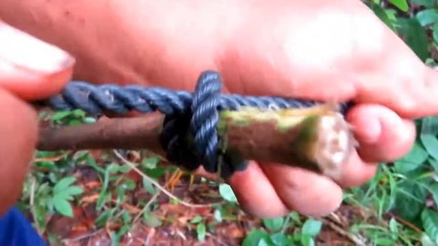 Примитивная технология Ловушка для диких свиней с использованием резиновой стр Full HD смотреть онлайн