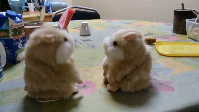 Белый шум на основе двух хомяков Тролей смотреть онлайн