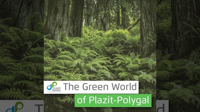 The Green World of Plazit-Polygal смотреть онлайн