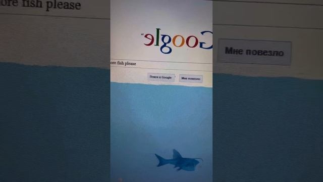 КАК ЖЕСТКО ЗАТРОЛЛИТЬ СВОЕГО ДРУГА??? смотреть онлайн