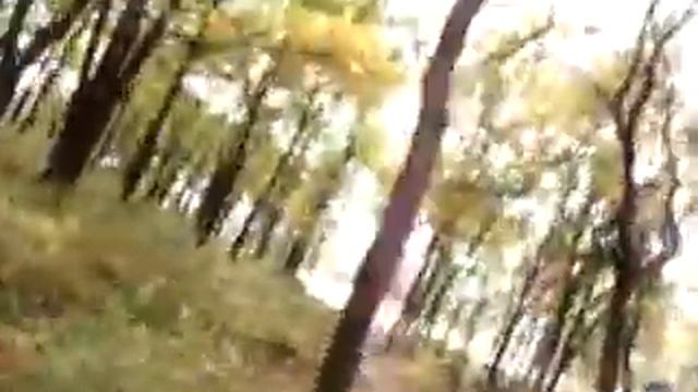 поездка на Волгу второго октября 2009 года смотреть онлайн