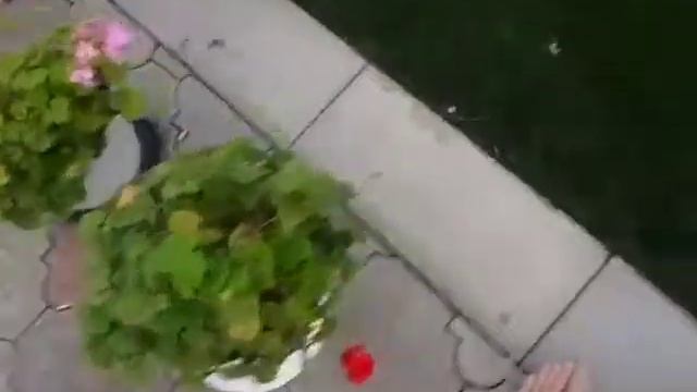 Шарлотта первые шаги в частном доме смотреть онлайн
