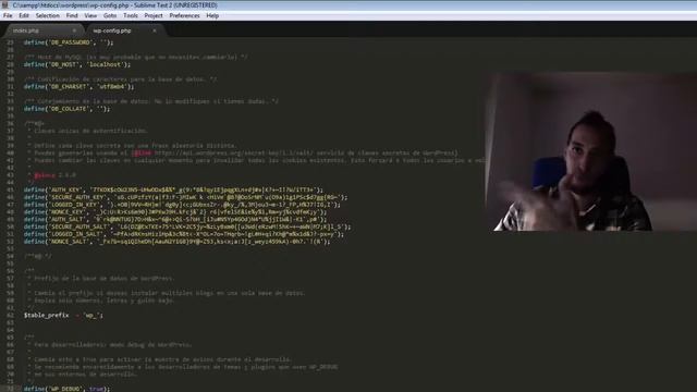 Tutorial Wordpress - Debug смотреть онлайн