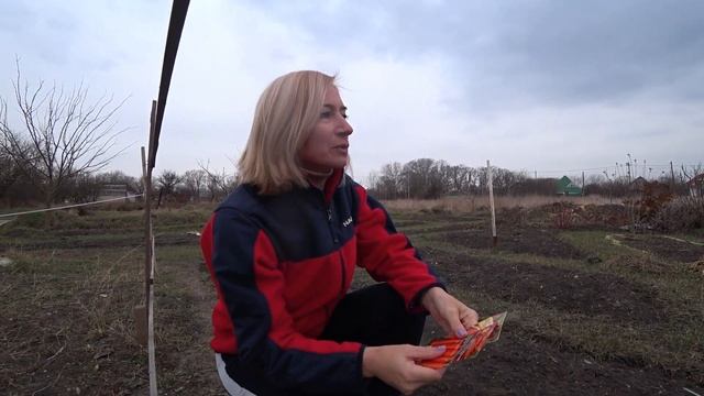 Сеем морковь в январе. Кубань. Гостагаевская смотреть онлайн