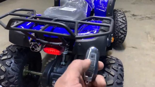 Квадроцикл Grizzly200 R10