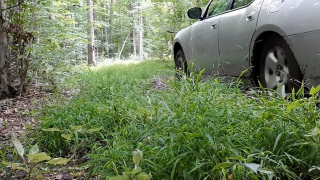 The Lawyer's Assistant смотреть онлайн