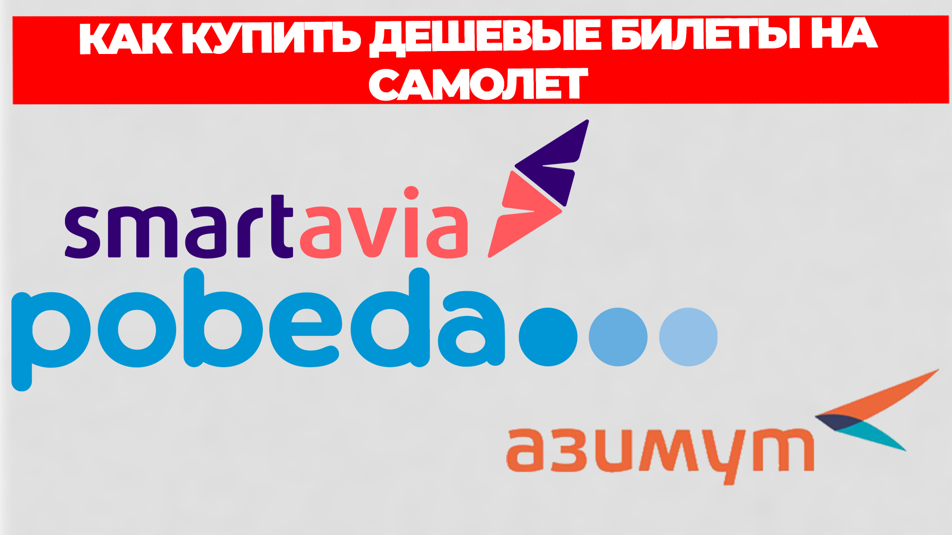 Всезнающий Енот