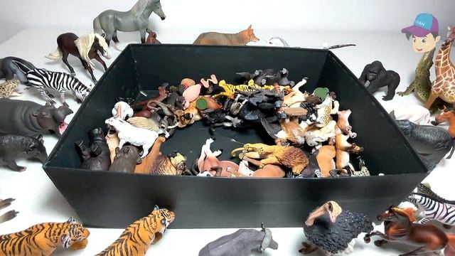My Entire Animals Collection - Farm Animals, Zoo Animals, Wild Animals
