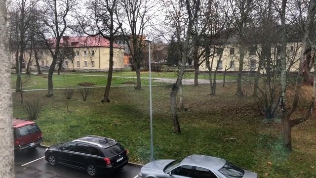 451.Эстония. Сидим без света, экономим! #жизньвэстонии #novatinafilm #vlog смотреть онлайн