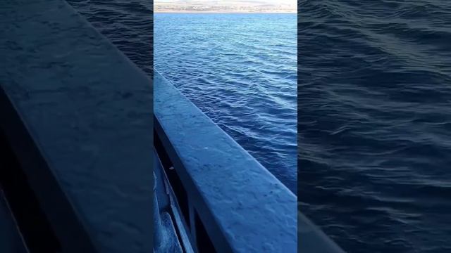 Паром на красноярском море