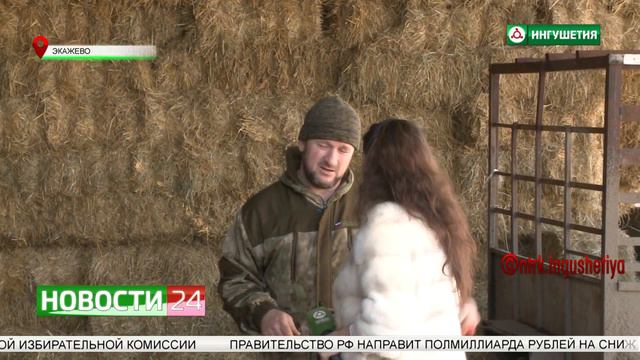Развитие фермерского хозяйства в Ингушетии смотреть онлайн