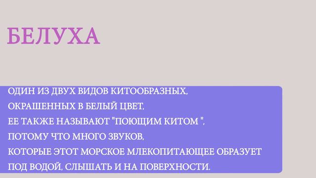 Почему моряки иногда видят русалок? смотреть онлайн