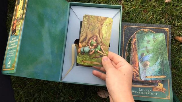 Обзор колоды Таро " Forest of Enchantment "- Таро Волшебного леса. смотреть онлайн
