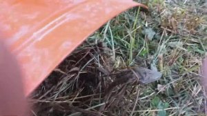 Обзор мотоблокаCARVER MT 700