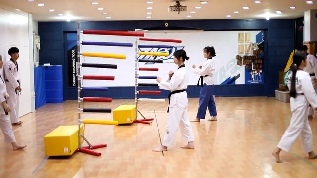 TATOOL 태권도 무지개타격기 교육 TAEKWONDO