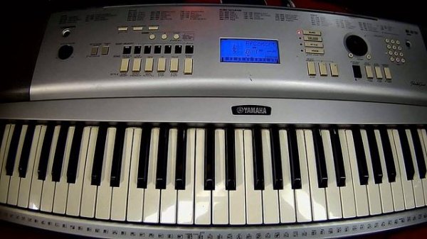 YAMAHA DGX - 220 - (DEMO songs)