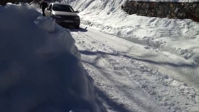 Когда бежишь от белого медведя!!! смотреть онлайн