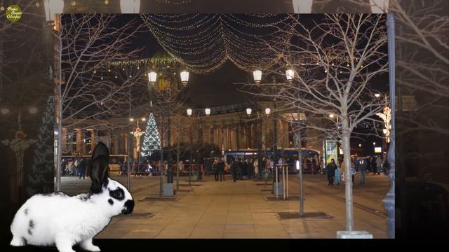 С Новым 2023 годом- Санкт -Петербург Фото-Видео зарисовка смотреть онлайн