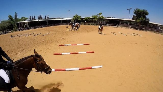 נבחרת חוות החיים במופע смотреть онлайн