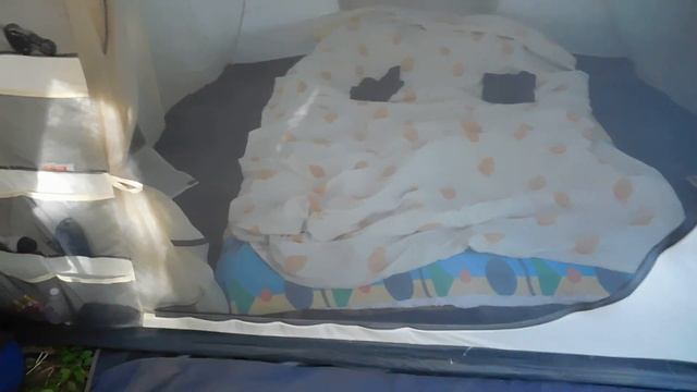 @12 Отдых с палатками на берегу Волги ч.1 Самарская об Прибрежный Зольное смотреть онлайн