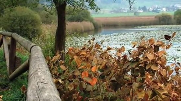 качают небо золотые купола