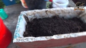 Разведение Червей Дома!!! Все ОЧЕНЬ Просто!!!