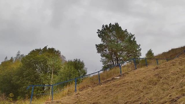 ДИЗЕЛЬ ПОЕЗД ДДБ1 ПРОЕЗЖАЕТ ВОЗЛЕ БОРОНИКОВ, СООБЩЕНИЕМ ВИТЕБСК-ОРША