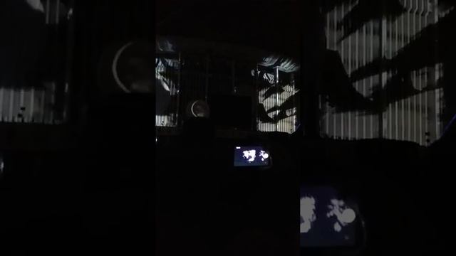 Фестиваль света в Санкт-Петербурге 04.11.2018. смотреть онлайн