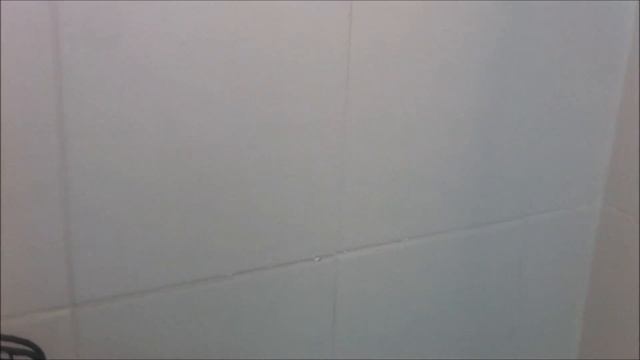 как купать попугая. ожереловые попугаи . parrot having a shower смотреть онлайн