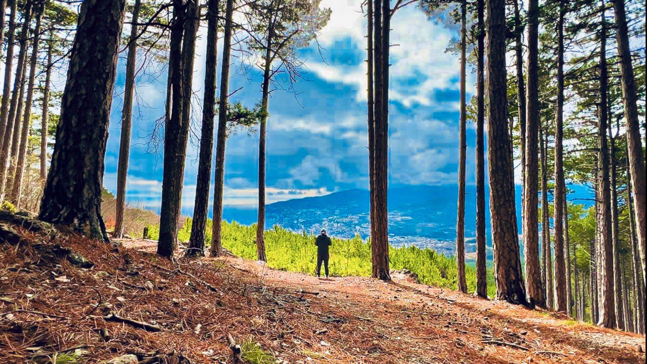 Партизаны в Крыму! Здесь был Путин. Новый маршрут на Кордон Красный камень. Романовская дорога. ЯЛТА смотреть онлайн