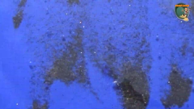 Доводочный стол для промывки золота -Water table for gold смотреть онлайн