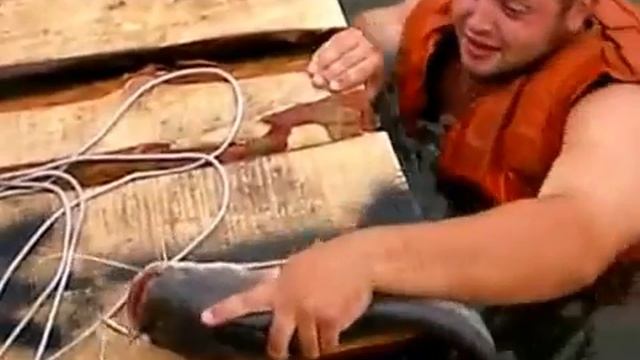 Ловля рыбы.прикол смотреть онлайн