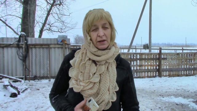 Корм для собак в приют: Как прокормить животных в приюте