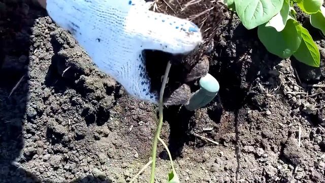 Лайфхаки для Путешествий