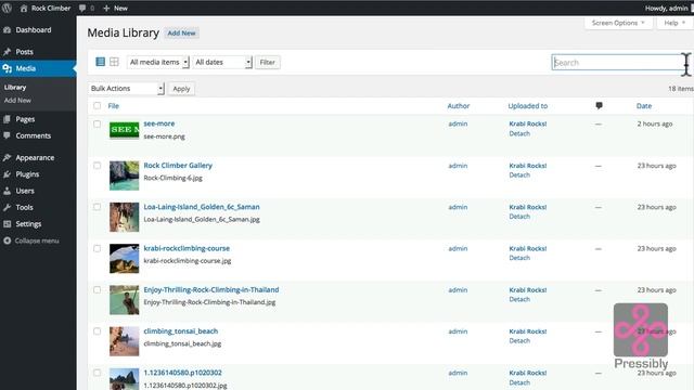Wordpress Media Library Tutorial смотреть онлайн