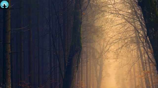 Morning Relaxing Music | Morning Meditation Music, Stress Relief Music смотреть онлайн