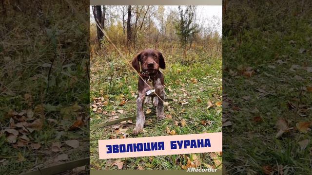 эволюция Бурана смотреть онлайн