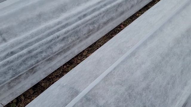 Накрываем мини-туннели Агроволокном! смотреть онлайн