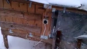 Содержание кроликов зимой на улице