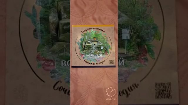 Сочинская мелодия - вкусная пластинка - это гастро-сувенир под брендом "Кухня без границ" смотреть онлайн