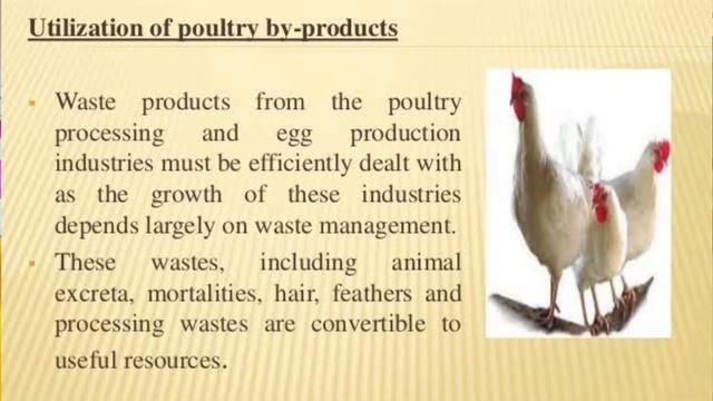 Pedigree Dog Food Review | Pedigree Puppy Dry Dog Food | Best and Detailed review | Must Watch смотреть онлайн