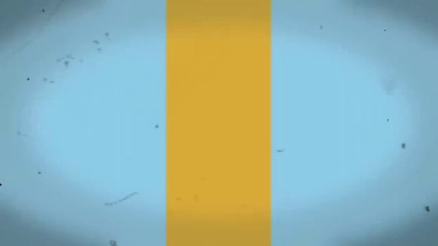 Roblox DOORS Seek vs Figure (Repost) смотреть онлайн